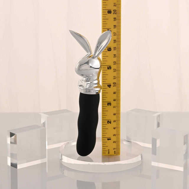 Playboy Bunny on the Go