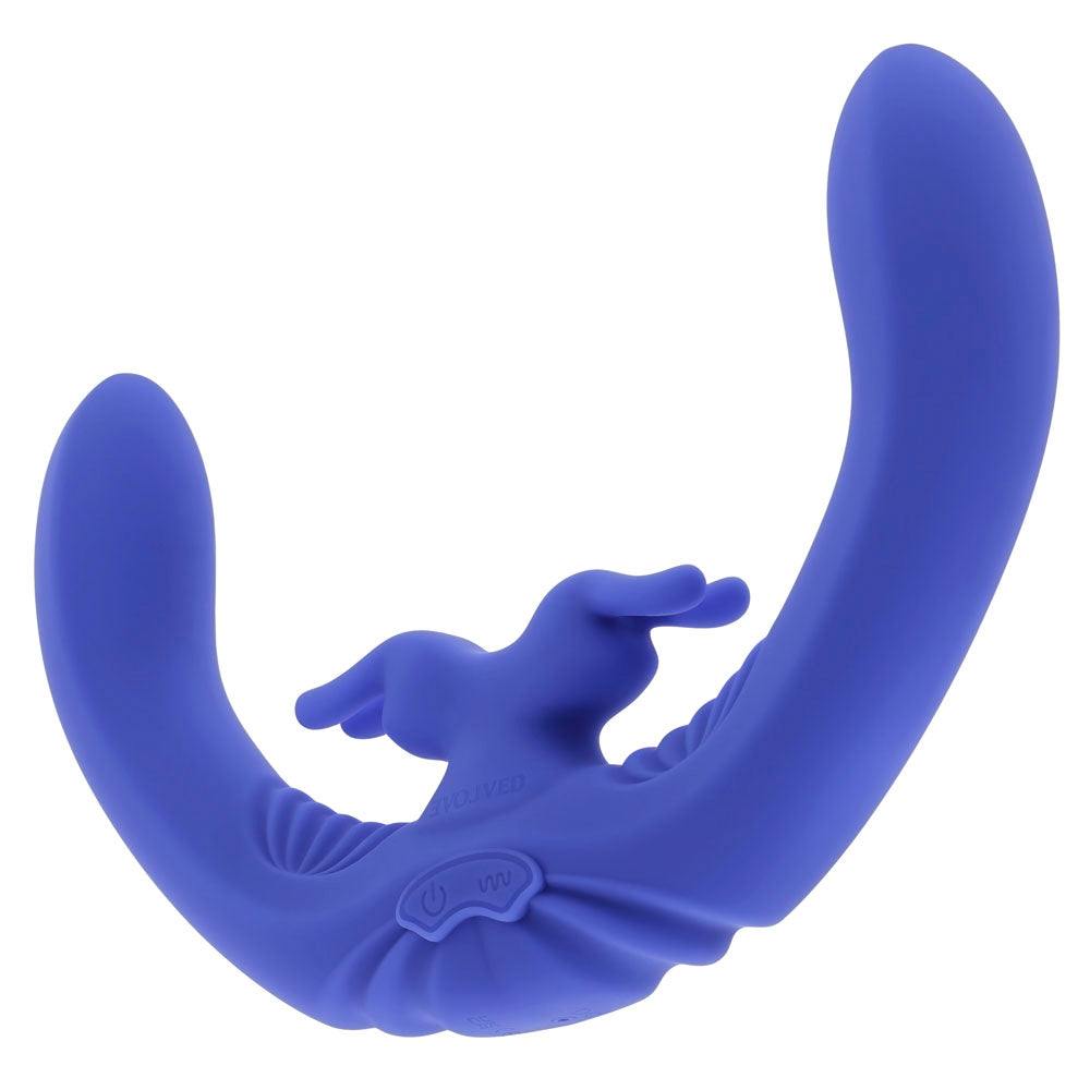 Evolved Lovebirds remote control
