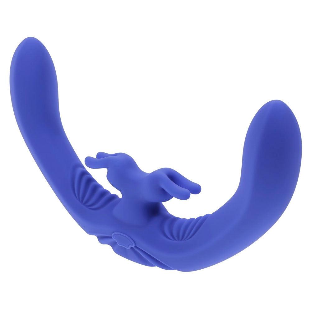 Evolved Lovebirds remote control