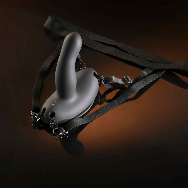 Evolved Come Closer - harness with RC vibrating